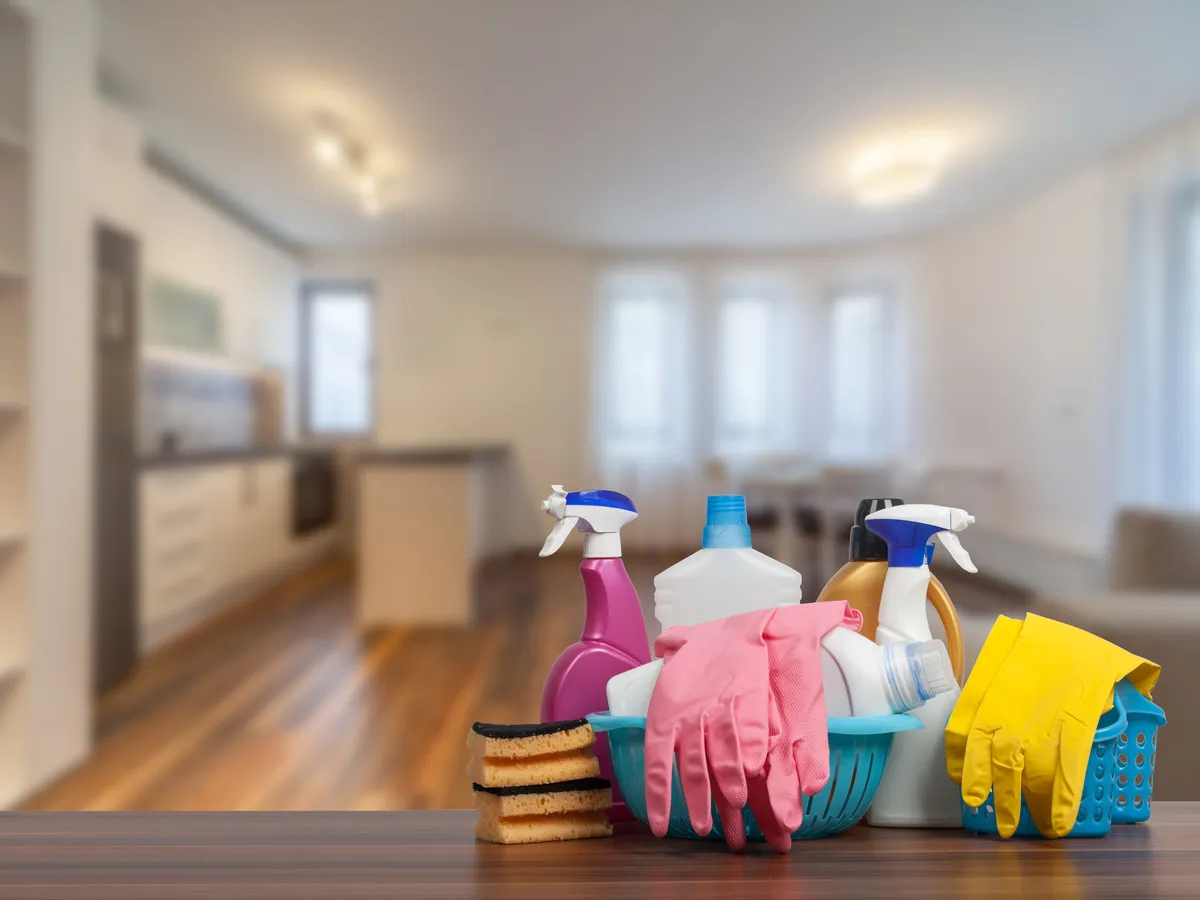 move in cleaning service