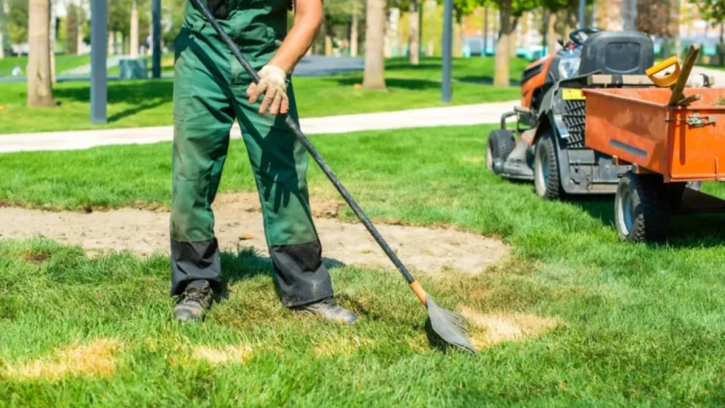 Best landscaping services in Kenya