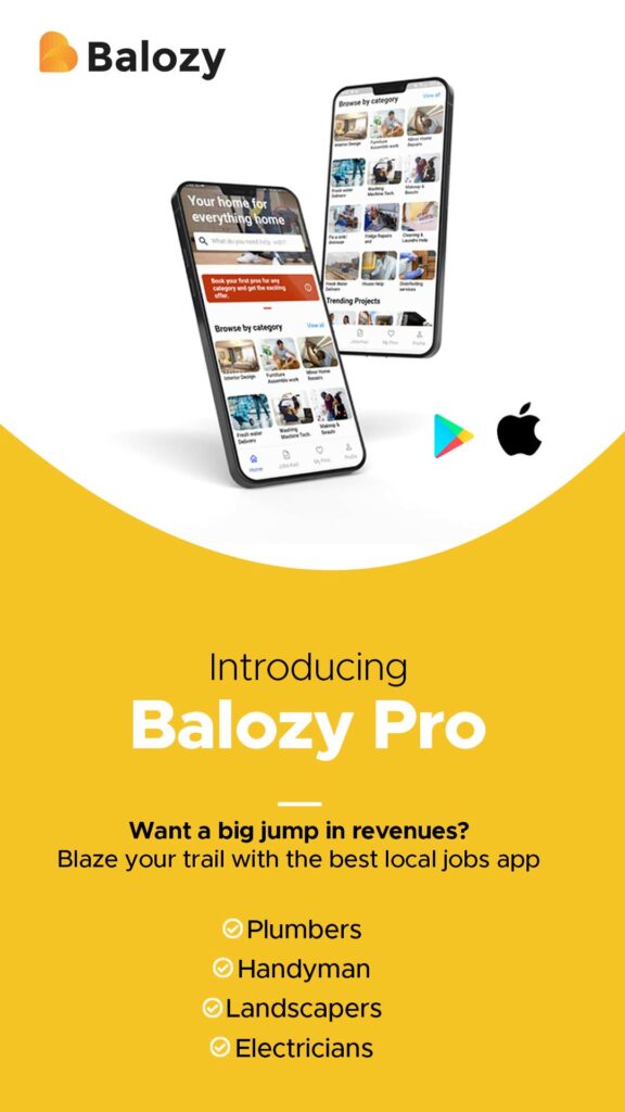 6 Reasons to Get the Balozy Business Management App