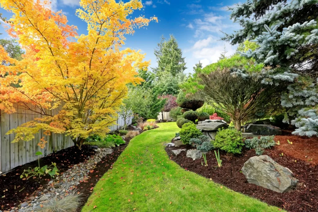 Hire Professional Landscaping Services: Why and How