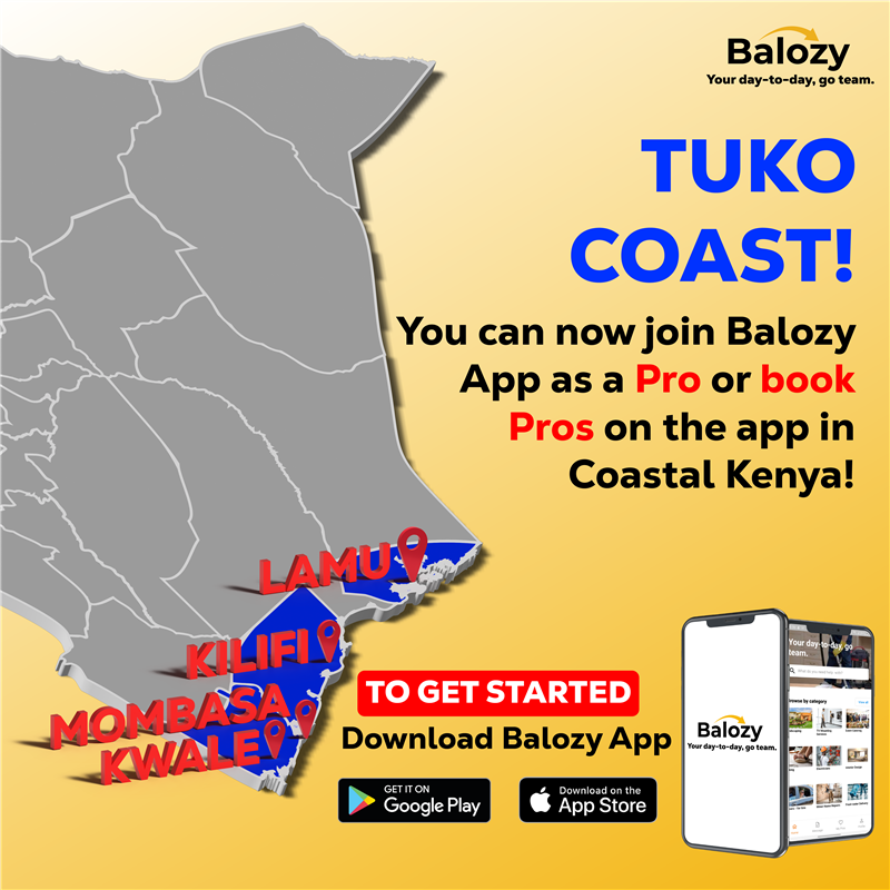 Balozy: Powering Business by Uplifting People