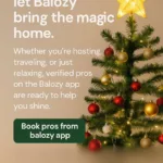 Balozy Kenya: Verified Services Bringing Joy to African Households This Season