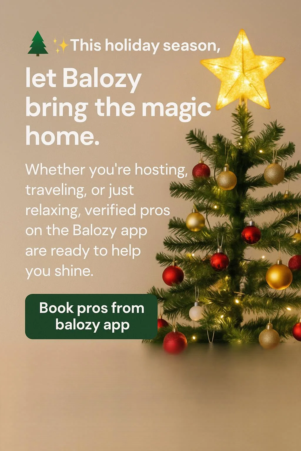 Balozy Kenya: Verified Services Bringing Joy to African Households This Season