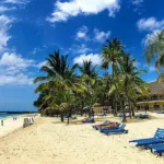 How to Earn More as a Pro in Malindi